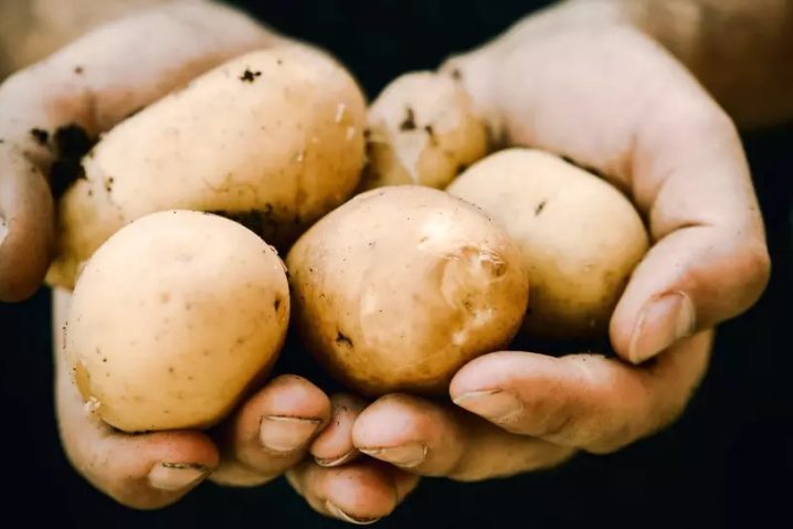 l-histoire-de-la-patate-irlandaise