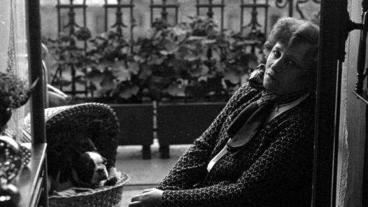« Sido » de Colette