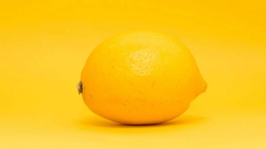 les-fruits-et-les-couleurs-on-ny-touche-pas